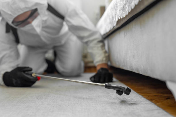 Professional Pest Control technician working in Williamson County County, TX